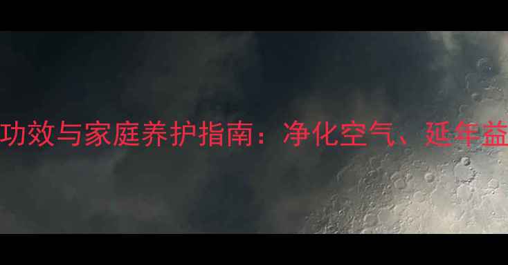 图片 长寿竹的养生功效与家庭养护指南：净化空气、延年益寿的绿色秘诀