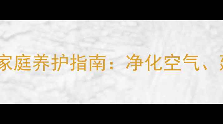 图片 长寿竹的养生功效与家庭养护指南：净化空气、延年益寿的绿色秘诀1