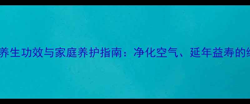 图片 长寿竹的养生功效与家庭养护指南：净化空气、延年益寿的绿色秘诀2