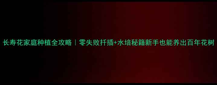 图片 长寿花家庭种植全攻略｜零失败扦插+水培秘籍新手也能养出百年花树