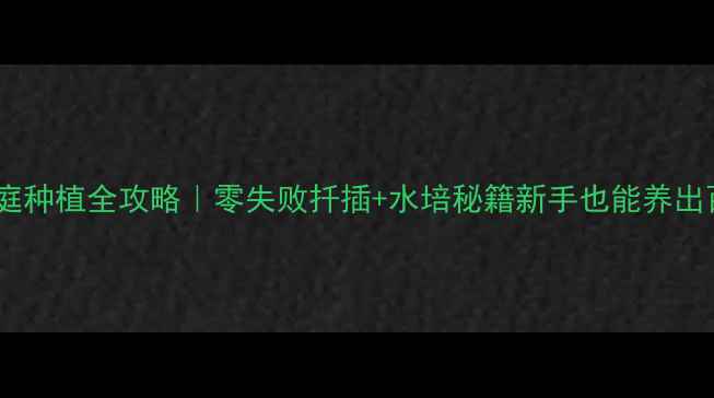 图片 长寿花家庭种植全攻略｜零失败扦插+水培秘籍新手也能养出百年花树1