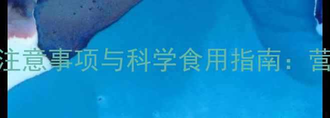 图片 长期食用枸杞的注意事项与科学食用指南：营养与风险平衡全