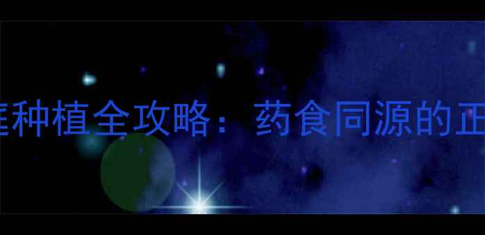 图片 雪菊养生功效与家庭种植全攻略：药食同源的正确方法与注意事项1