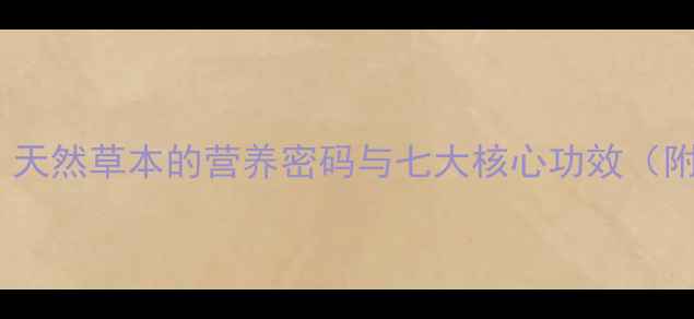 图片 雪菊王养生秘宝：天然草本的营养密码与七大核心功效（附科学食用指南）2