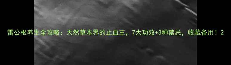 图片 雷公根养生全攻略：天然草本界的止血王，7大功效+3种禁忌，收藏备用！2