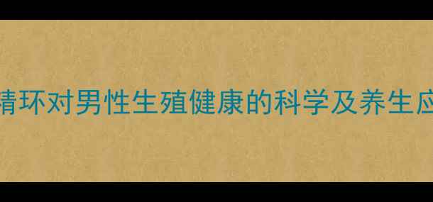 图片 震动锁精环对男性生殖健康的科学及养生应用指南