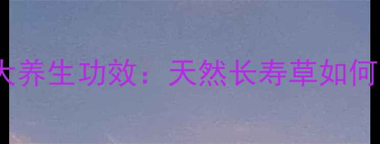 图片 青皮草的10大养生功效：天然长寿草如何守护健康？1