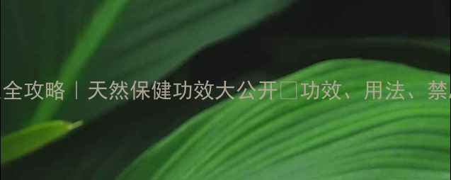 图片 青钱柳养生全攻略｜天然保健功效大公开✨功效、用法、禁忌一次说清