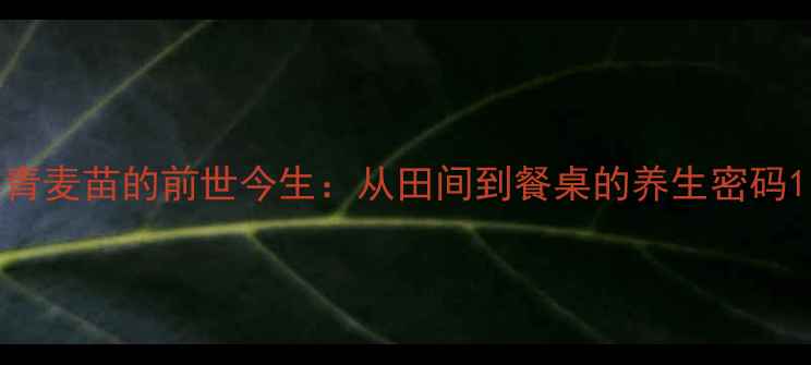 图片 青麦苗的前世今生：从田间到餐桌的养生密码1