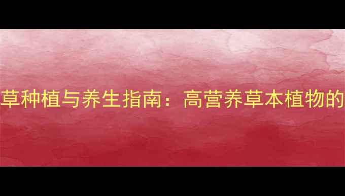 图片 非洲冰草种植与养生指南：高营养草本植物的全攻略