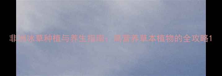 图片 非洲冰草种植与养生指南：高营养草本植物的全攻略1