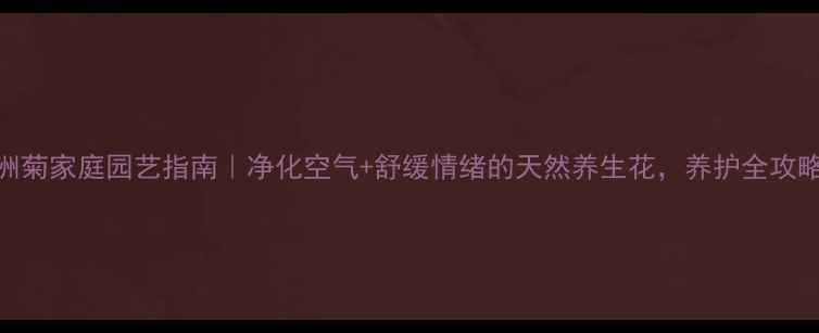 图片 非洲菊家庭园艺指南｜净化空气+舒缓情绪的天然养生花，养护全攻略！