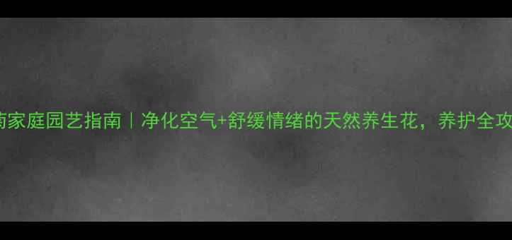 图片 非洲菊家庭园艺指南｜净化空气+舒缓情绪的天然养生花，养护全攻略！2
