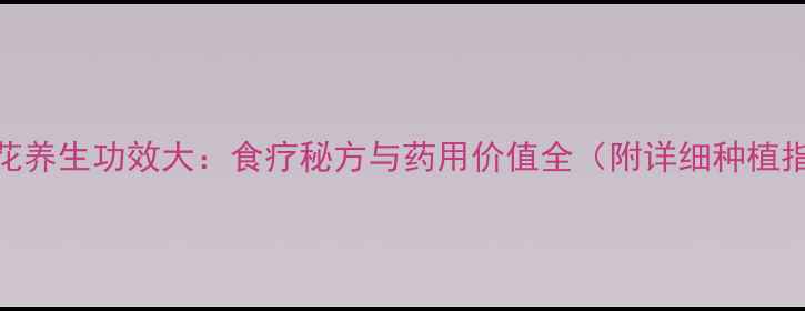 图片 韭菜花养生功效大：食疗秘方与药用价值全（附详细种植指南）