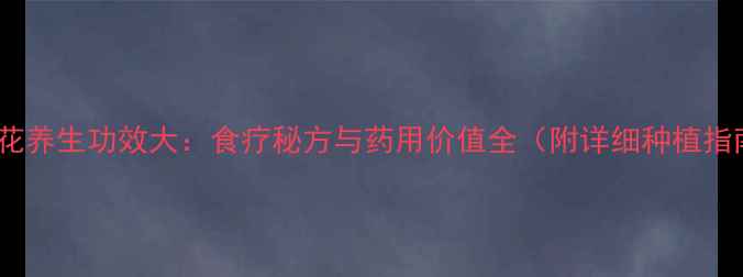 图片 韭菜花养生功效大：食疗秘方与药用价值全（附详细种植指南）1