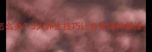 图片 韭菜馅发黑怎么办？5大养生技巧让韭菜保持翠绿，营养不流失1