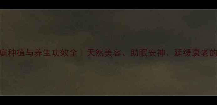 图片 香茶花家庭种植与养生功效全｜天然美容、助眠安神、延缓衰老的居家指南