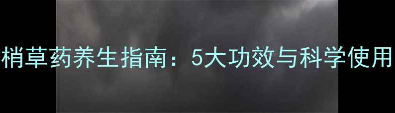 图片 马鞭梢草药养生指南：5大功效与科学使用手册