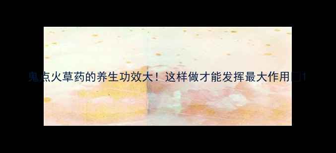 图片 鬼点火草药的养生功效大！这样做才能发挥最大作用✨1