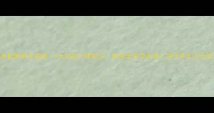 图片 鱼胶粉养生指南｜5大功效+3种吃法，胶质流失党必看！28天养出少女肌