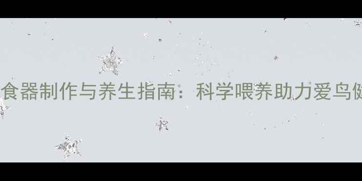 图片 鸟自动喂食器制作与养生指南：科学喂养助力爱鸟健康长寿1