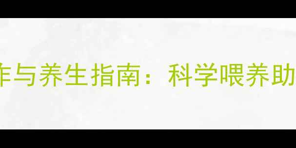 图片 鸟自动喂食器制作与养生指南：科学喂养助力爱鸟健康长寿2