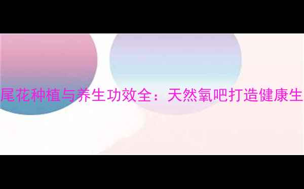 图片 鸢尾花种植与养生功效全：天然氧吧打造健康生活