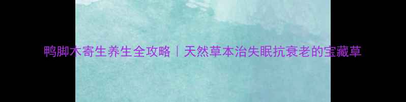 图片 鸭脚木寄生养生全攻略｜天然草本治失眠抗衰老的宝藏草