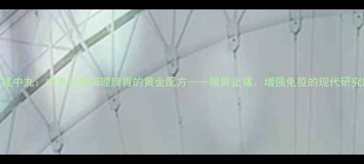 图片 黄芪建中丸：中医经典调理脾胃的黄金配方——暖胃止痛、增强免疫的现代研究解读