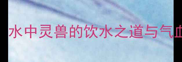 图片 龙鱼养生：水中灵兽的饮水之道与气血调理指南