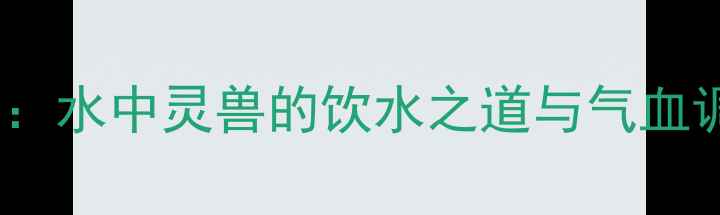 图片 龙鱼养生：水中灵兽的饮水之道与气血调理指南2