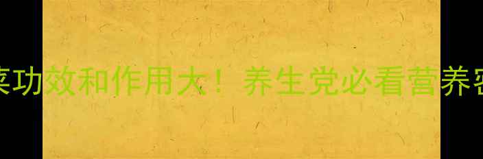 图片 🌊紫菜功效和作用大！养生党必看营养密码💪