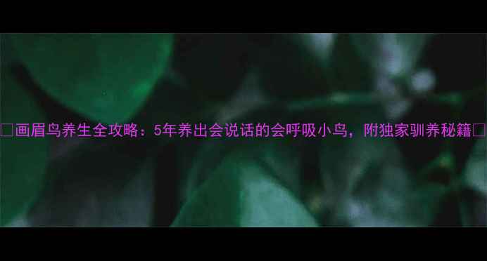 图片 🌟画眉鸟养生全攻略：5年养出会说话的会呼吸小鸟，附独家驯养秘籍🌟