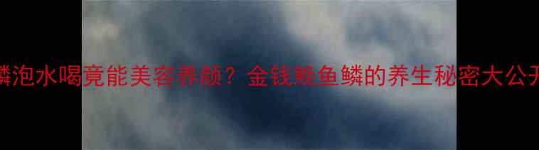 图片 🌟鱼鳞泡水喝竟能美容养颜？金钱鮸鱼鳞的养生秘密大公开✨🌟