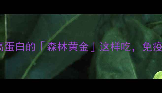 图片 🌟鸡腿菇养生指南低脂高蛋白的「森林黄金」这样吃，免疫力+肠道健康双提升！💪