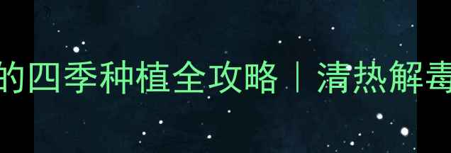 图片 🌱家庭种植+养生双修鬼子姜的四季种植全攻略｜清热解毒的野菜这样种出天然养生库1