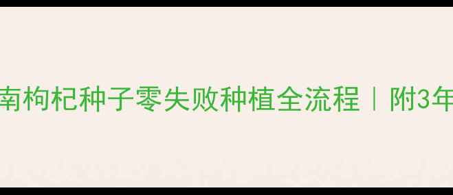 图片 🌱家庭种植指南枸杞种子零失败种植全流程｜附3年亲测养护秘籍