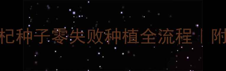 图片 🌱家庭种植指南枸杞种子零失败种植全流程｜附3年亲测养护秘籍1
