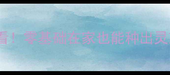 图片 🌱灵芝养殖全攻略｜新手必看！零基础在家也能种出灵芝，附详细步骤和避坑指南2