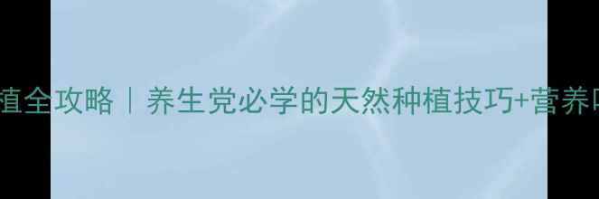 图片 🌱胡萝卜种植全攻略｜养生党必学的天然种植技巧+营养吸收指南🥕1