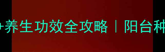 图片 🌱藏红花家庭种植+养生功效全攻略｜阳台种出天然补气血神器
