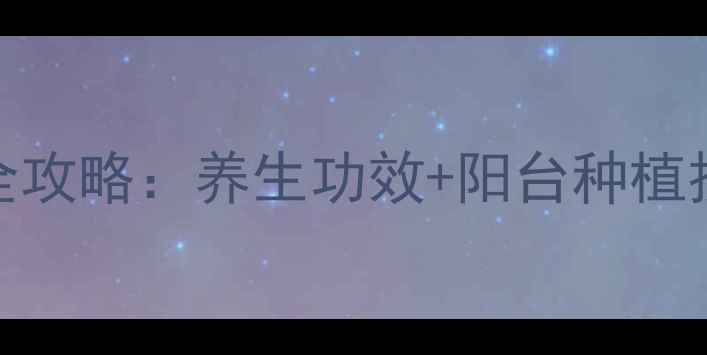 图片 🌱黄花照波养殖全攻略：养生功效+阳台种植技巧，新手必看！