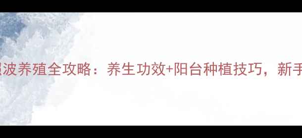 图片 🌱黄花照波养殖全攻略：养生功效+阳台种植技巧，新手必看！1