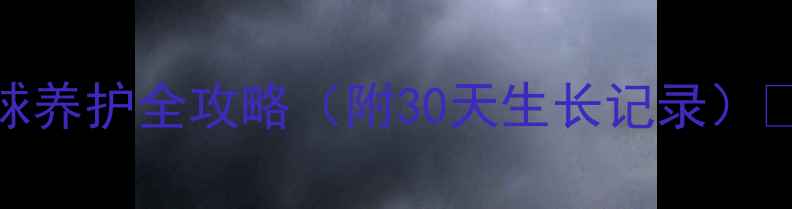 图片 🌵家庭绿植新宠｜仙人球养护全攻略（附30天生长记录）✨新手必看+避坑指南💡2