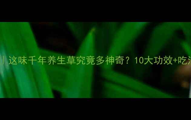 图片 🌵沙漠黄金｜这味千年养生草究竟多神奇？10大功效+吃法全公开！2