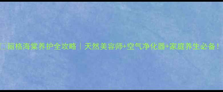 图片 🌸丽格海棠养护全攻略｜天然美容师+空气净化器+家庭养生必备！