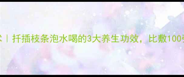 图片 🌸海棠花养颜术｜扦插枝条泡水喝的3大养生功效，比敷100张面膜更有效！