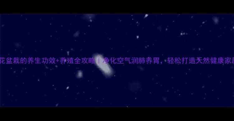 图片 🌸百合花盆栽的养生功效+养殖全攻略｜净化空气润肺养胃，轻松打造天然健康家居环境2