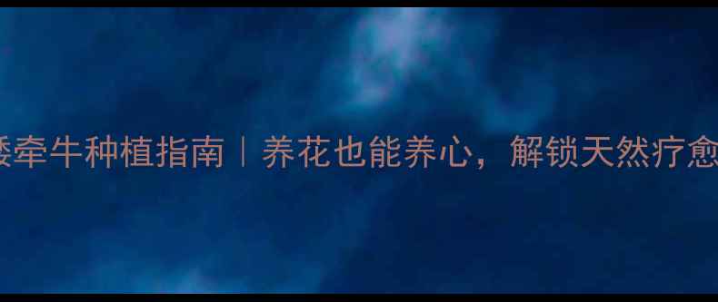 图片 🌸重瓣矮牵牛种植指南｜养花也能养心，解锁天然疗愈空间✨1