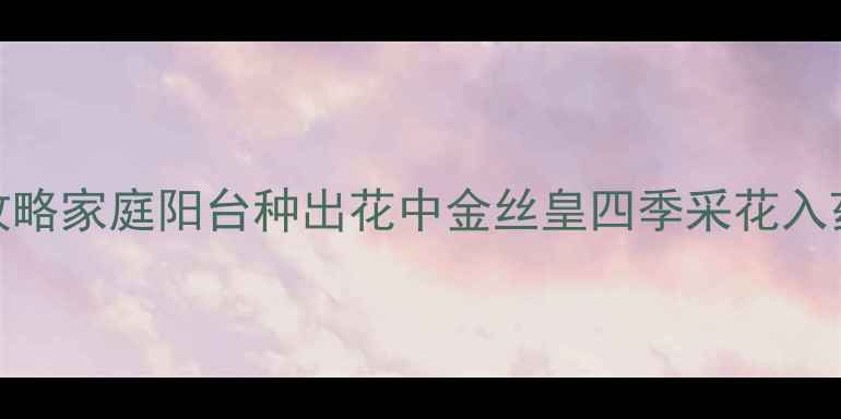 图片 🌹月季扦插+养生攻略家庭阳台种出花中金丝皇四季采花入药安眠活血💆♀️2